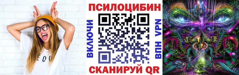 МЕГА ссылка  Стародуб  Галлюциногенные грибы GOLDEN TEACHER 